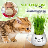 ZestiGreens Cat Grass Mug Growing Kit – Ceramic Planter with Organic Wheatgrass Seeds