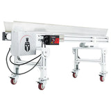 CenturionPro Trimmer Infeed Conveyor