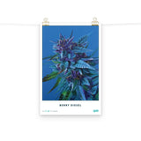 Berry Diesel Cannabis Strain Poster 12" x 18"
