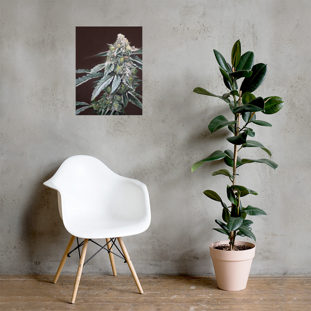 Boston Cream Pie Cannabis Strain Art Poster – 18x24" Matte Print