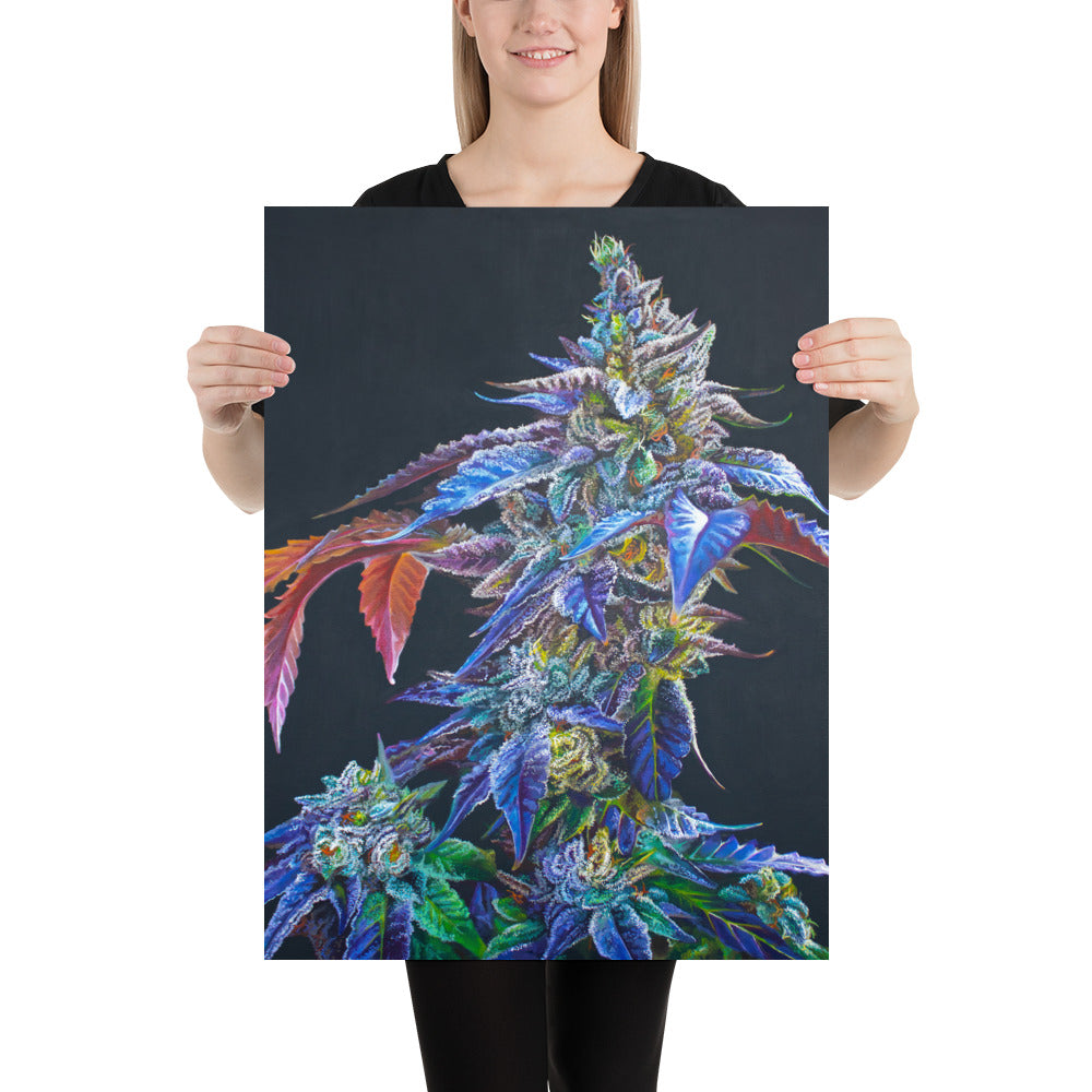 Khalifa Kush 18"x24" Poster