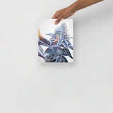 Ice Cream Cake Cannabis Strain Poster – 8"x10" Print