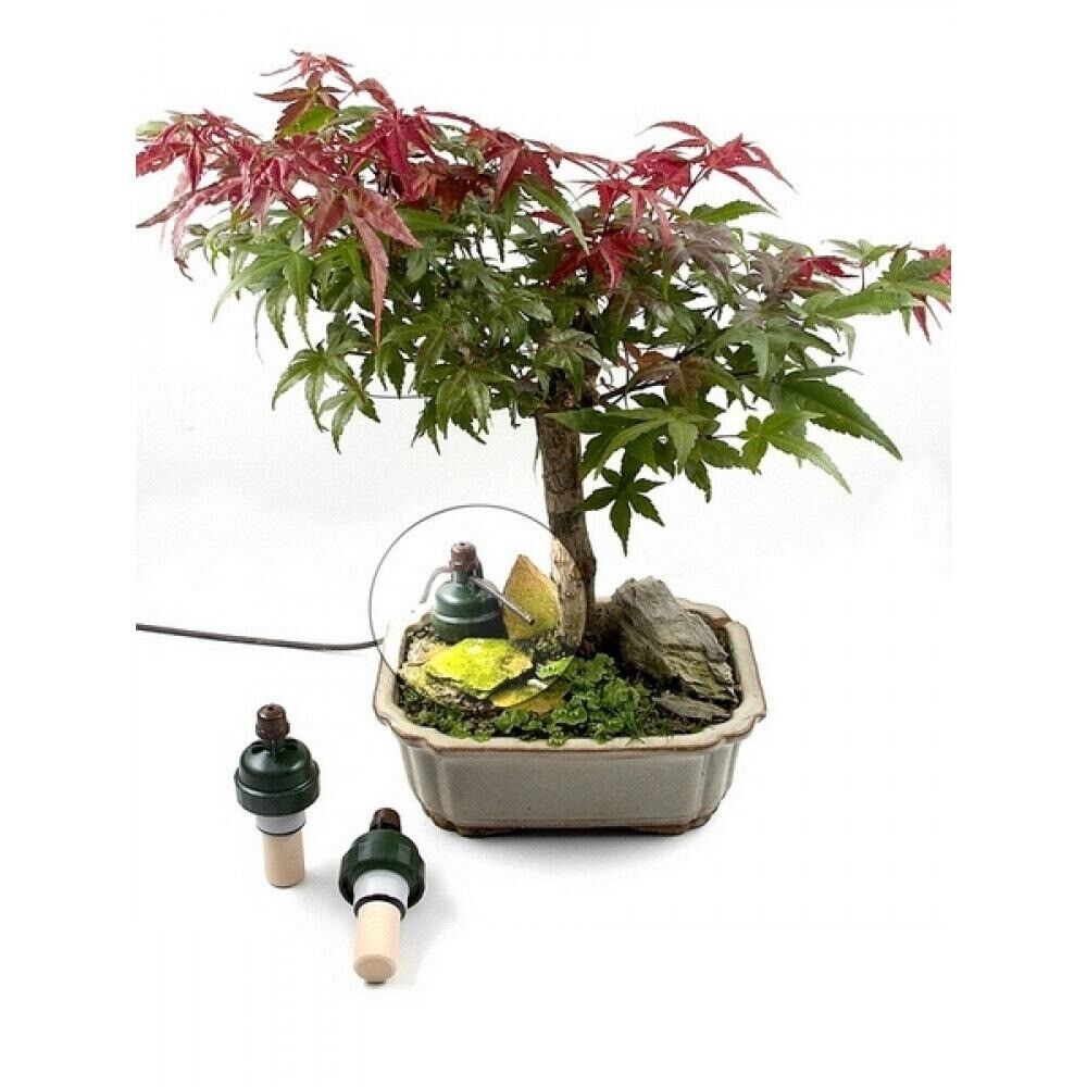 Blumat Bonsai Plant Watering Sensor - Thumbnail 5
