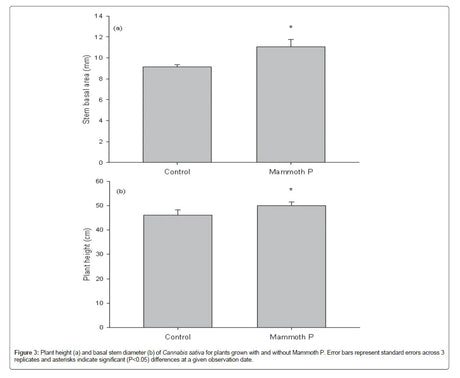 Bar graph comparing stem basal area and plant height between 'Control' and 'Mammoth P' cannabis varieties.
