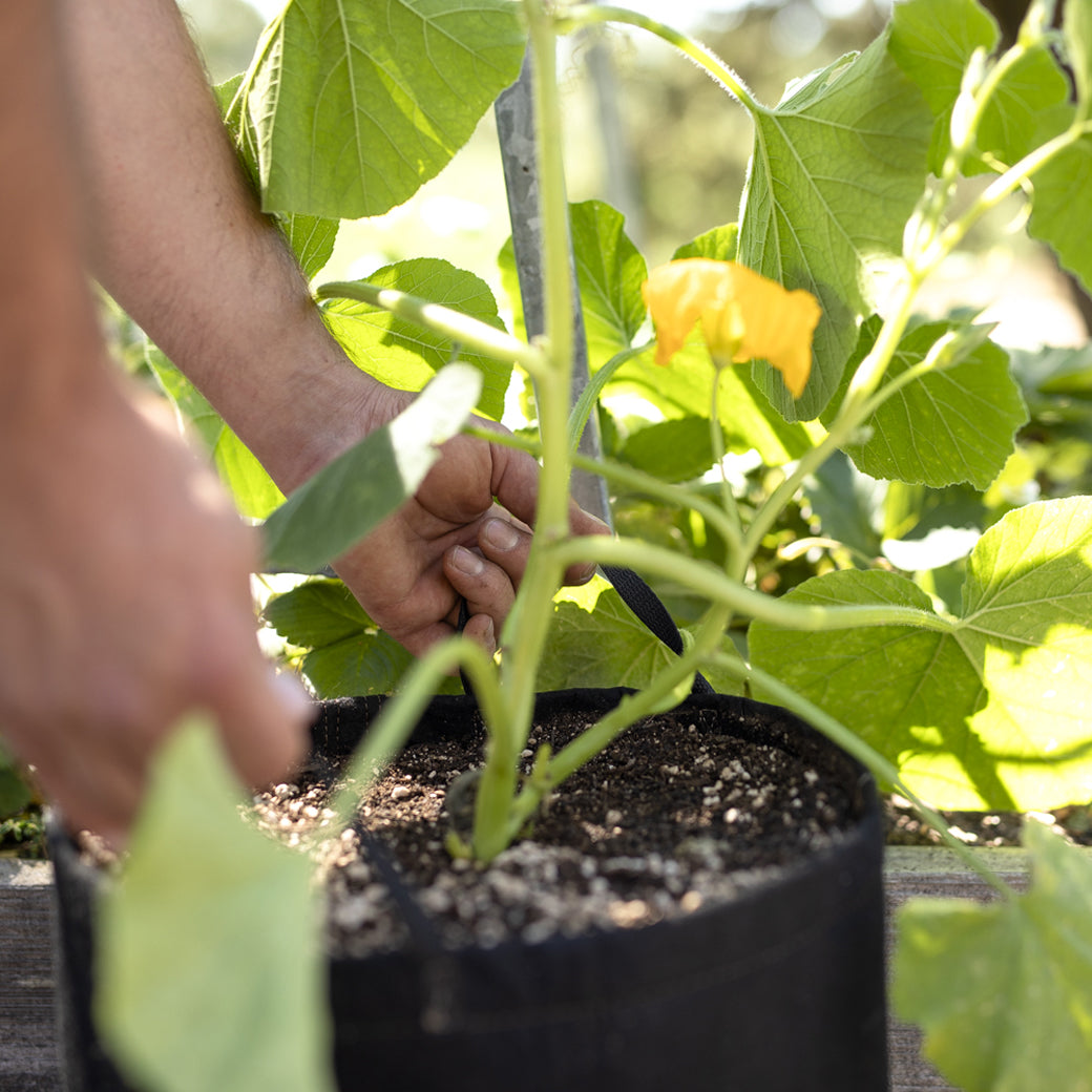 GeoPot Fabric Grow Bags with Handles - Black