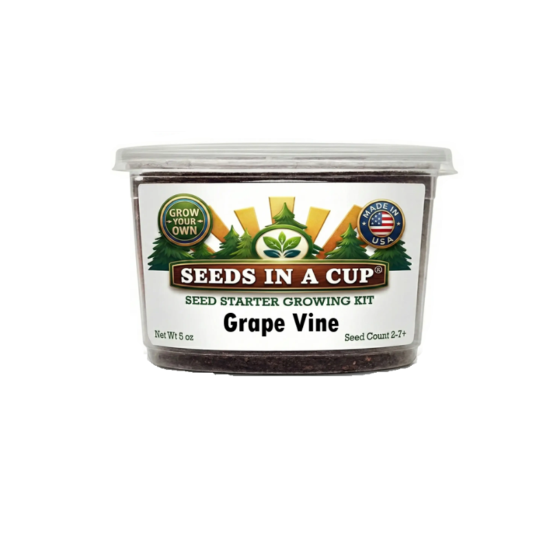 Tree Growing Kit - Choose Your Tree Type |  Seeds In A Cup®