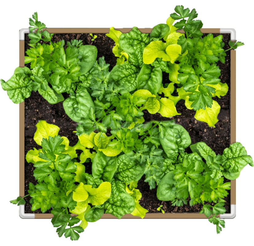 Grassroots Living Soil Fabric Bed