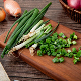 ZestiGreens Green Onion Regrower Kit – Mason Jar Growing Lid