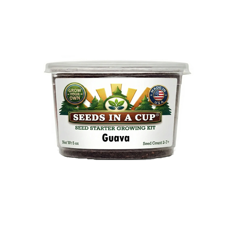 Tree Growing Kit - Choose Your Tree Type |  Seeds In A Cup®