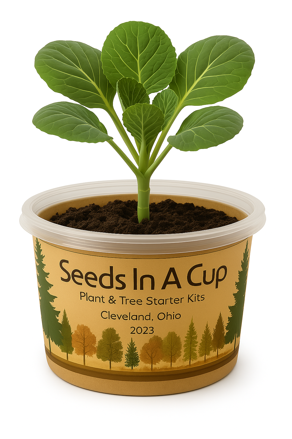 Jalapeño Plant Grow Kit  |  Seeds In A Cup® |