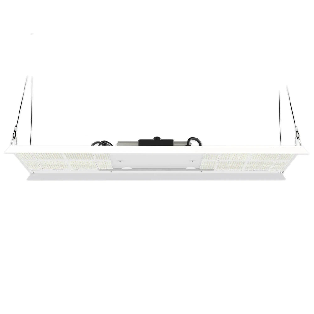 HLG 350 Diablo LED Grow Light, 120-240 Volt