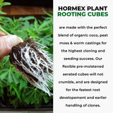 Hormex Rooting Cubes – Coco & Peat Starter Plugs for Cloning & Seeds