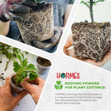 Hormex Rooting Duo – Vitamin B1 Concentrate (8 oz) + Rooting Powder #8 (21g)