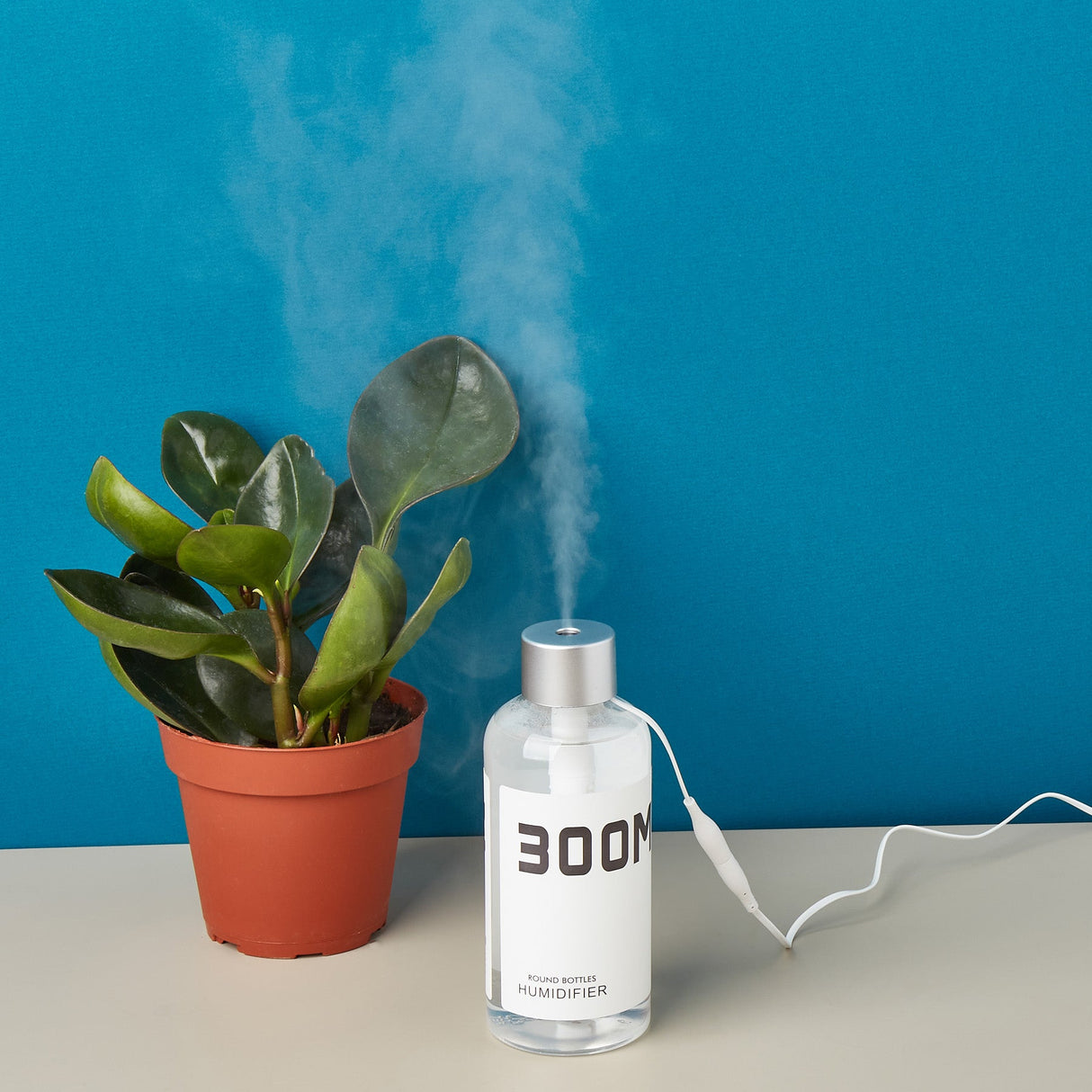 Plant Humidifier – 300ML USB Powered