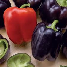 Organic Cardinal Sweet Pepper Seeds – 10 Pack Purple to Red Peppers