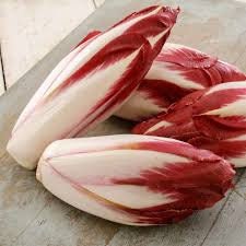 Heirloom Organic Early Treviso Radicchio Seeds, Pack of 10
