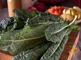 Heirloom Organic Dinosaur Kale Seeds