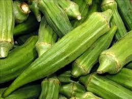 Heirloom Organic Dwarf Stalk Green Long Pod Okra Seeds