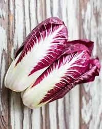 Heirloom Organic Early Treviso Radicchio Seeds, Pack of 10