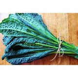 Heirloom Organic Dinosaur Kale Seeds