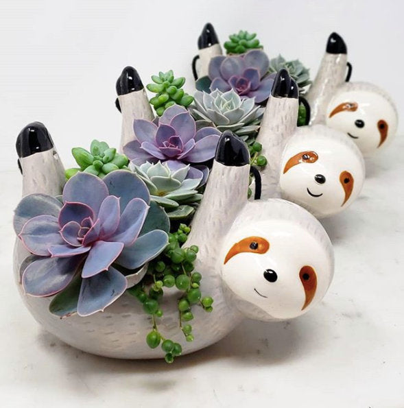 Sloth Hanging Planter Pot – Cute Ceramic Sloth Planter for Succulents & Indoor Plants