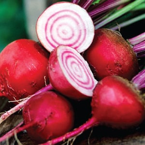 Heirloom Organic Chioggia Guardsmark Beet Seeds - Bullseye Beet