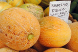 Rare Heirloom Organic Sharlyn Melon Seeds, Pack of 10