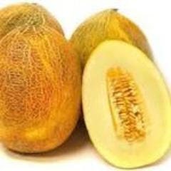 Rare Heirloom Organic Sharlyn Melon Seeds, Pack of 10