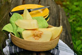 Rare Heirloom Organic Sharlyn Melon Seeds, Pack of 10