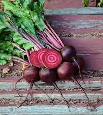 Heirloom Organic Chioggia Guardsmark Beet Seeds - Bullseye Beet