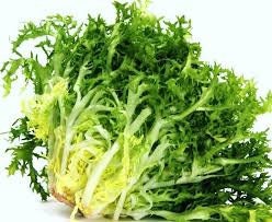 Heirloom Organic Green Curled Ruffec Endive Seeds aka Chicory Seeds, Pack of 50