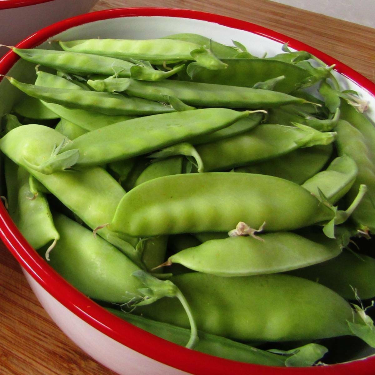 Heirloom Organic Mammoth Melting Snow Pea Seeds, Pack of 20