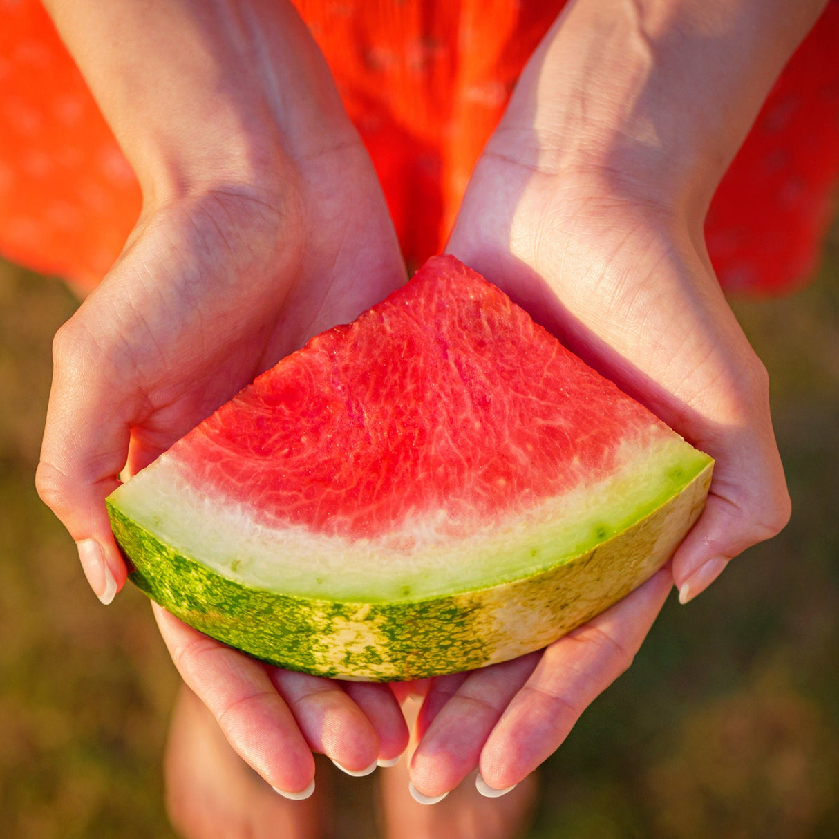 Organic Kleckleys Sweet Watermelon Seeds