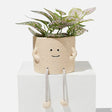 Ceramic plant pot shaped like a smiling face with a plant inside on a white background