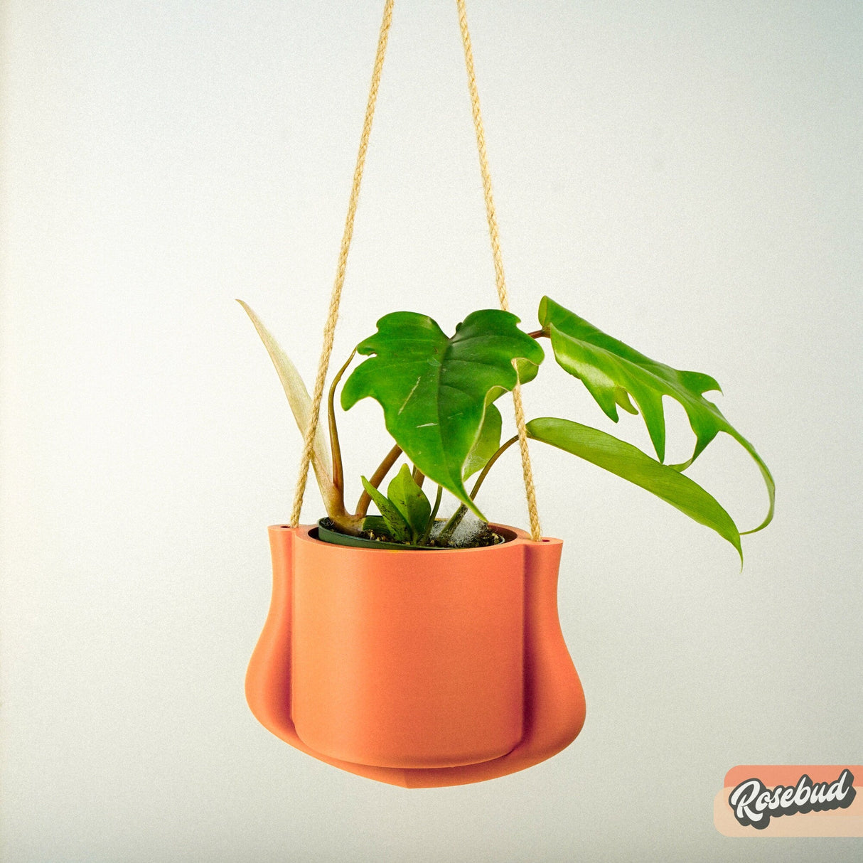 The Elysian Hanging Planter