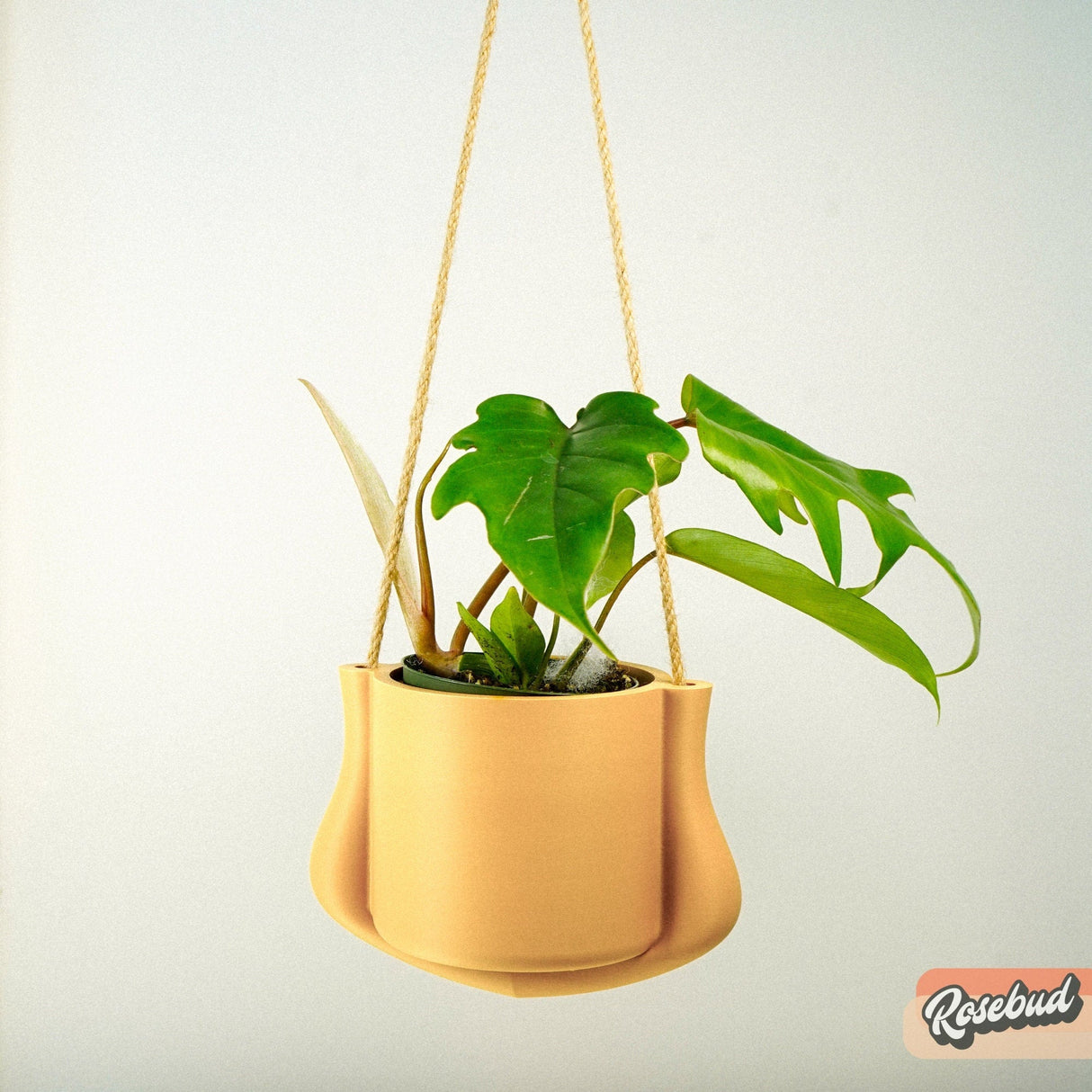 The Elysian Hanging Planter