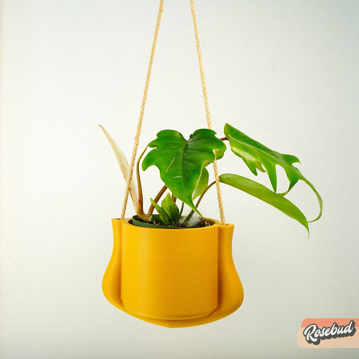 The Elysian Hanging Planter