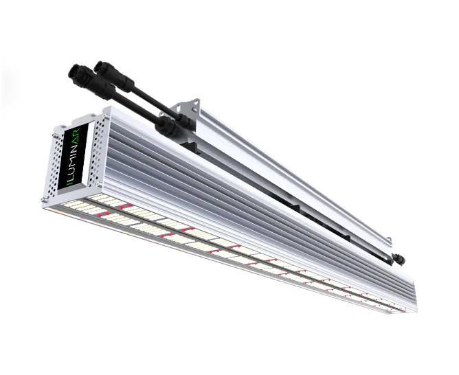 Iluminar iL1 LED 660W