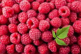 Organic Heirloom Raspberry Bush Fruit Seeds – 20 Seeds