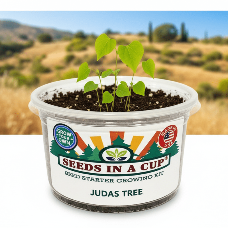 Tree Growing Kit - Choose Your Tree Type |  Seeds In A Cup®