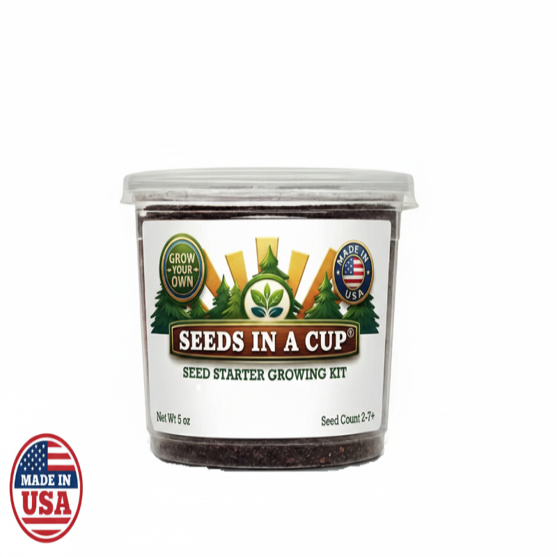 Pecan Tree Grow Kit | Seeds In A Cup®