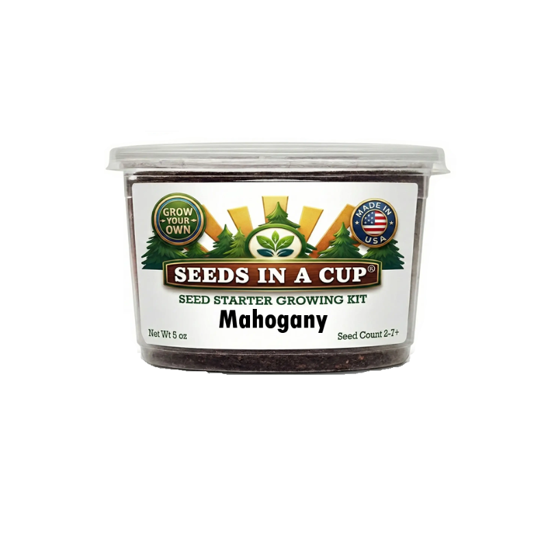 Tree Growing Kit - Choose Your Tree Type |  Seeds In A Cup®