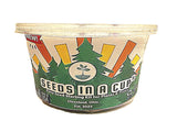 Jalapeño Plant Grow Kit  |  Seeds In A Cup® |