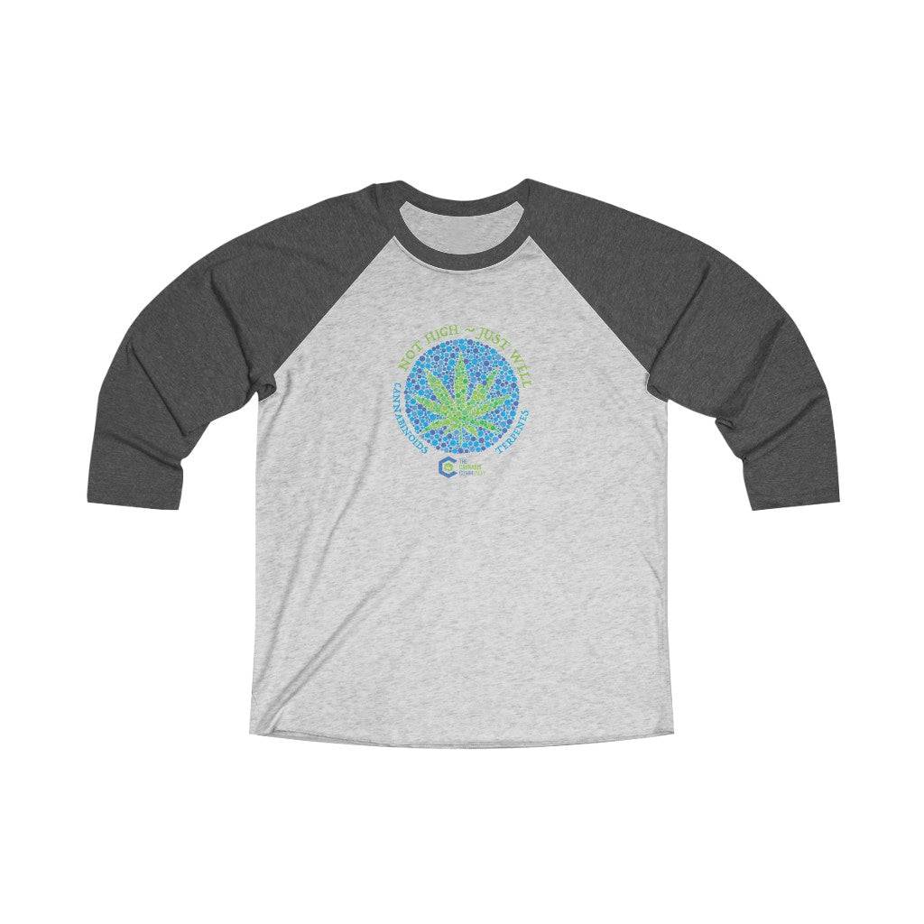 Not High Just Well Tri-Blend Raglan Tee