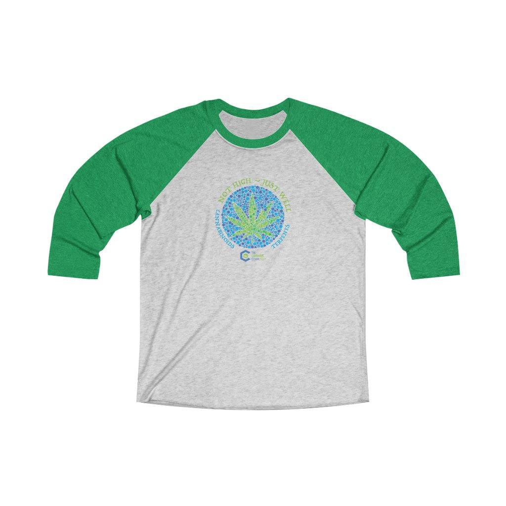 Not High Just Well Tri-Blend Raglan Tee
