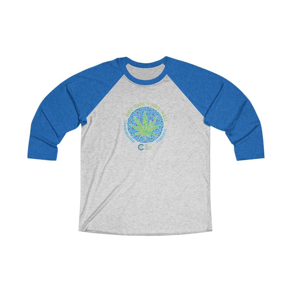 Not High Just Well Tri-Blend Raglan Tee