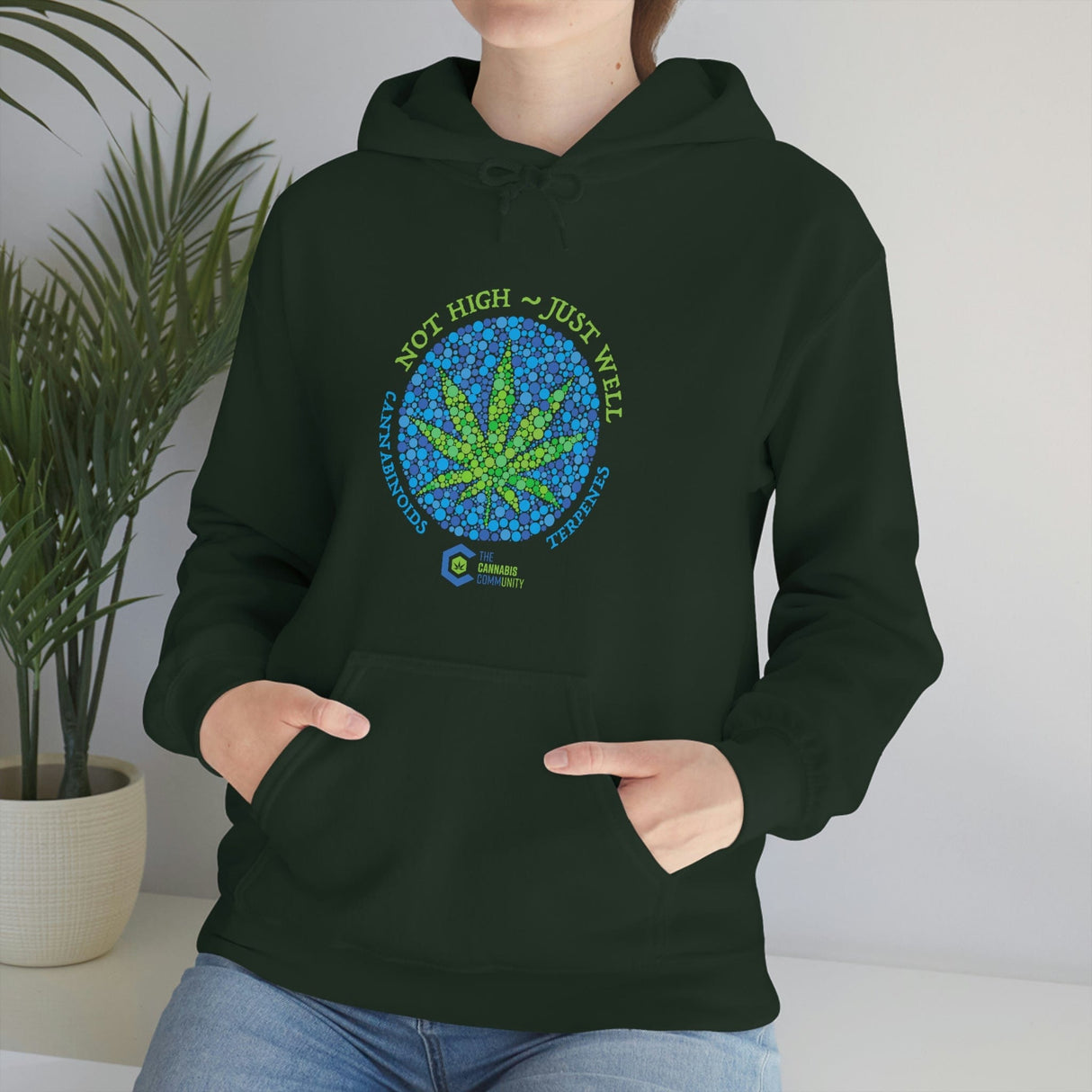 Not High, Just Well Cannabis Hoodies