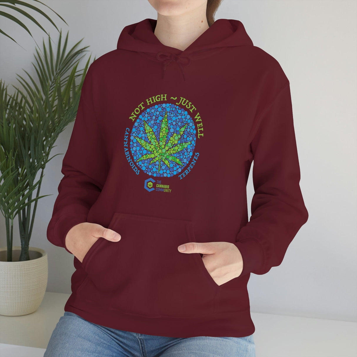 Not High, Just Well Cannabis Hoodies