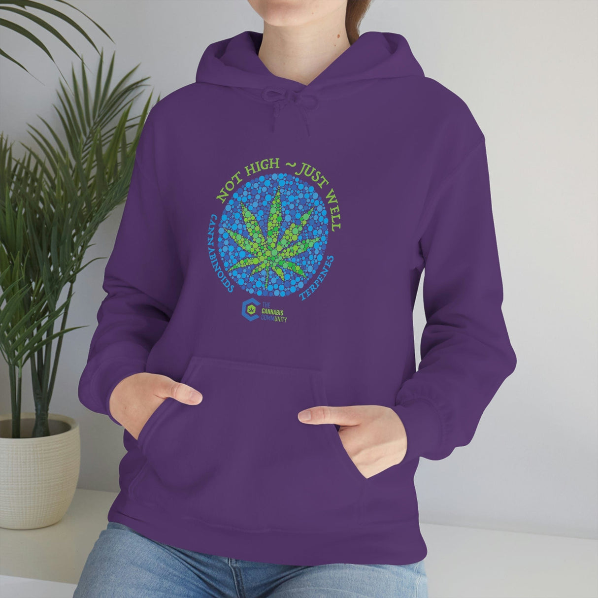 Not High, Just Well Cannabis Hoodies