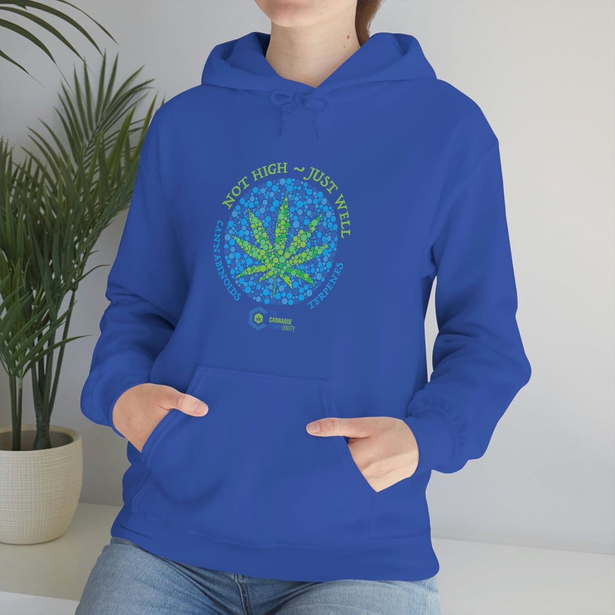 Not High, Just Well Cannabis Hoodies